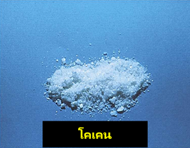 โคเคน